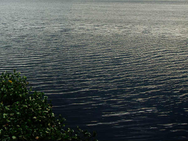 പ്ലാസ്റ്റിക്ക്... പ്ലാസ്റ്റിക്ക്...