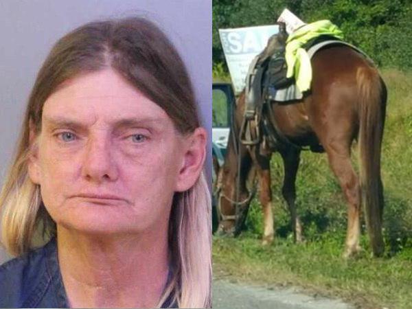 ഡോണയ്ക്കും കുതിരക്കും അപകടം സംഭവിക്കാം ഡോണയ്ക്കും കുതിരക്കും അപകടം സംഭവിക്കാം