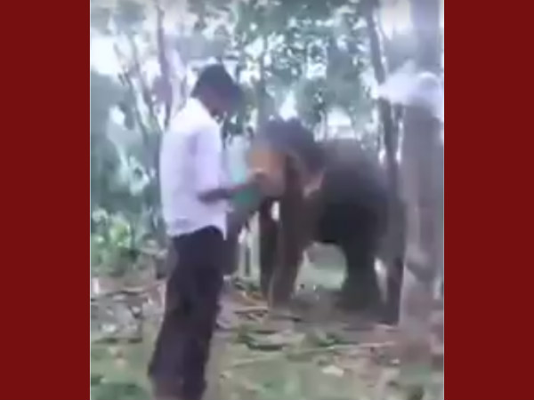 ആനയെ കണ്ടപ്പോൾ പൂതി