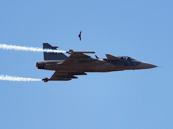 ആരാണ് റാഫേൽ ഉപയോഗിക്കുന്നത്