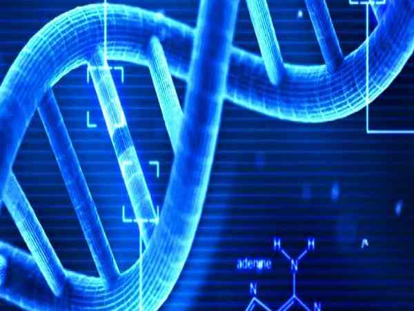 മനുഷ്യനും ക്ലോണിങ്?