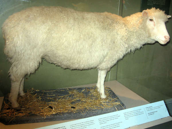 ശ്വാസകോശ അര്‍ബുദവും സന്ധിവാതവും