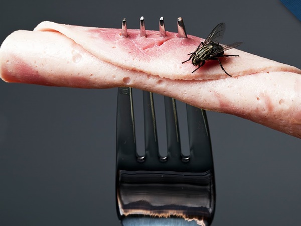 പകര്‍ച്ച വ്യാധികള്‍