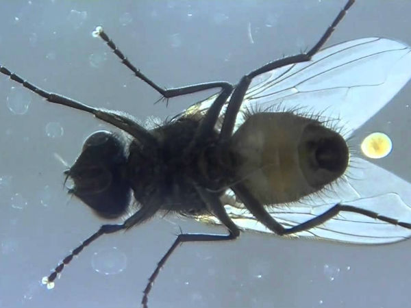 ഇനി നന്നായി സൂക്ഷിക്കുക