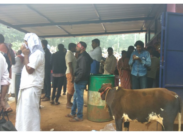 മലയാളികൾ ഇഷ്ടം പോലെ