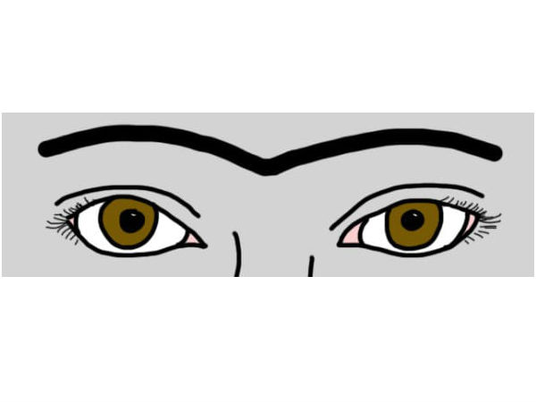 കൂട്ടുപുരികം