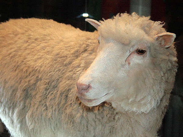 12 സെക്കന്റ് സമയം മാത്രം