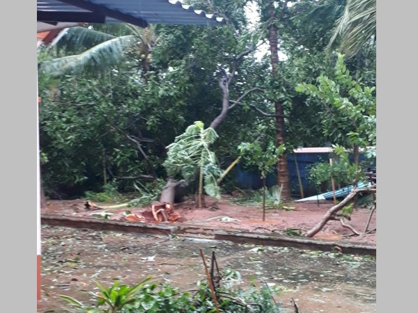 ന്യൂനമര്‍ദ്ദം കൊടുങ്കാറ്റായി മാറി