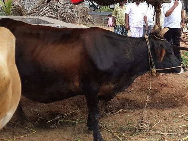 ഹരിയാന സർക്കാർ വാഗ്ദാനങ്ങൾ നടപ്പാക്കാറില്ല