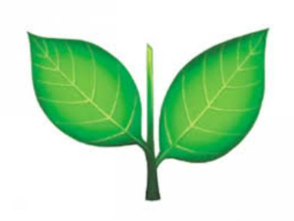 കൈ ഒഴിഞ്ഞ് അണ്ണാഡിഎംകെ