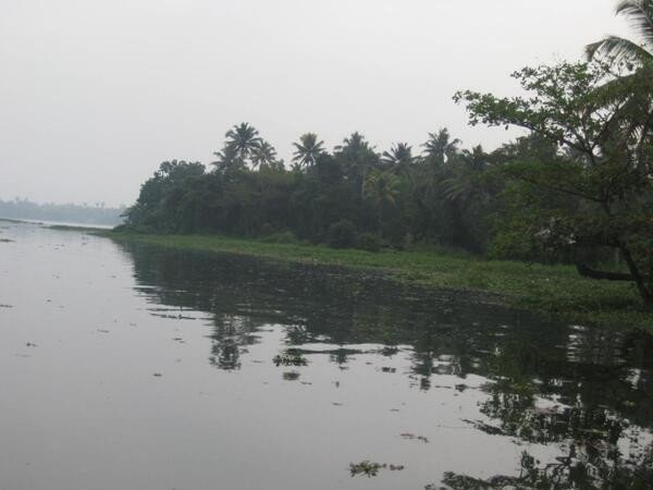 ഉറവിടത്തിൽ തന്നെ സംസ്കരണം...