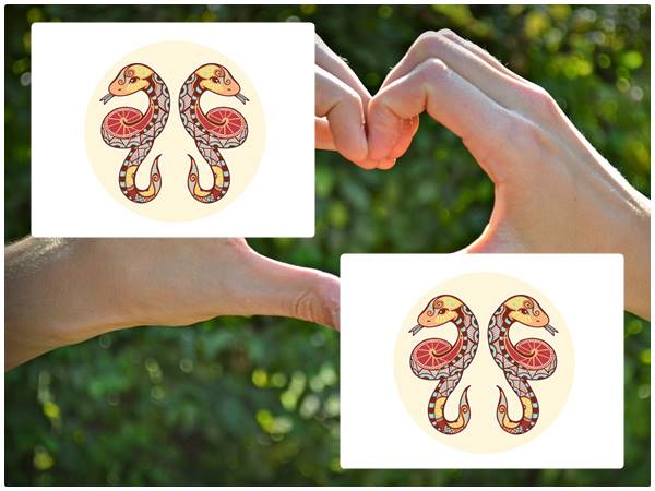 ജെമിനി(മിഥുനം രാശി- മകീര്യം അരഭാഗം, തിരുവാതിര, പുണര്‍തം മുക്കാല്‍ ഭാഗം)