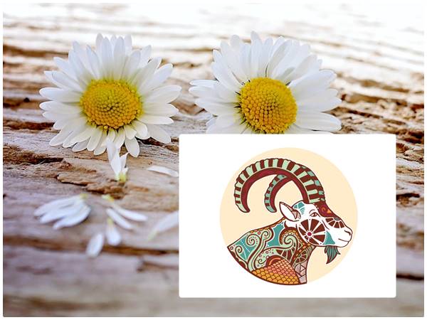 കാപ്രികോണ്‍ (മകരം രാശി- ഉത്രാടം മുക്കാല്‍ ഭാഗം, തിരുവോണം, അവിട്ടം അരഭാഗം)