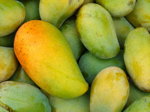 പിന്നിൽ ലോബികൾ