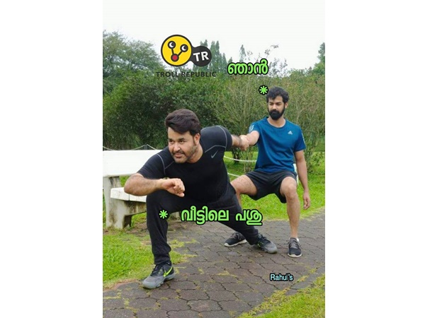 പശുവായും