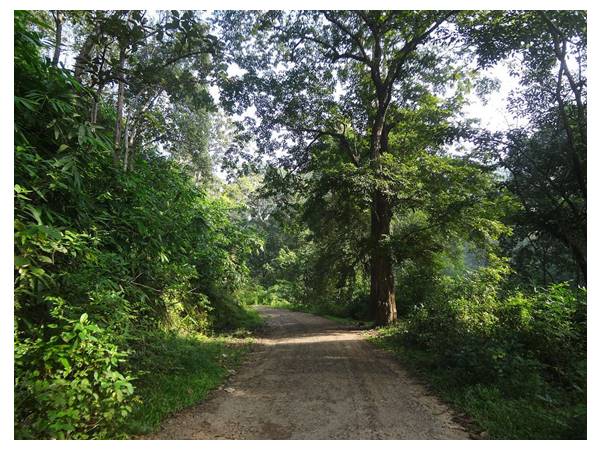 സ്ത്രീകളെ മാറ്റി നിർത്തുന്നത് തികഞ്ഞ അനീതി