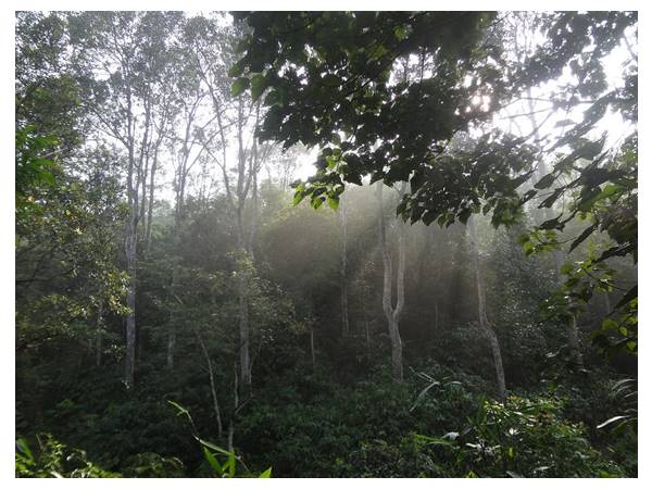 അപൂർവവും പ്രകൃതിഭംഗിയുറ്റതുമായല ഭൂമേഖല