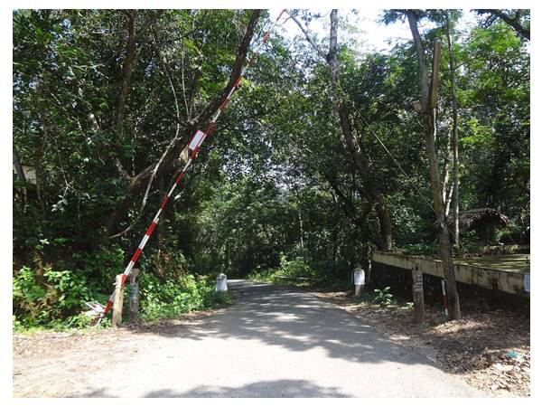 പ്രകൃതിസൗന്ദര്യത്തിന്റെ കലവറ 