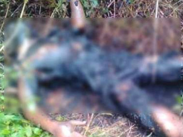  കാക്ക വട്ടമിട്ട് പറന്നു...