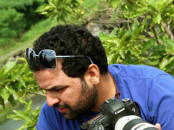 ട്രോളുകൾ ഉൾക്കൊള്ളുന്നു