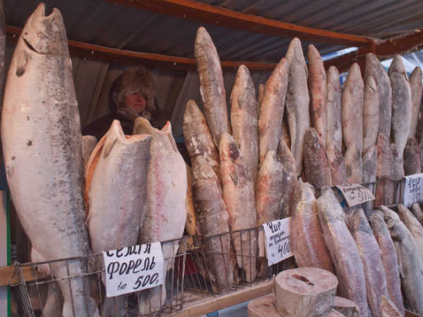 മാംസാഹാരത്തോട് പ്രിയം