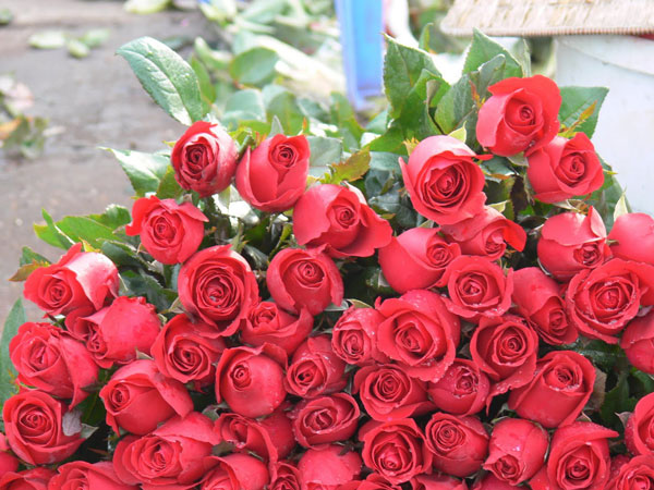 പൂവിറുത്താല്‍