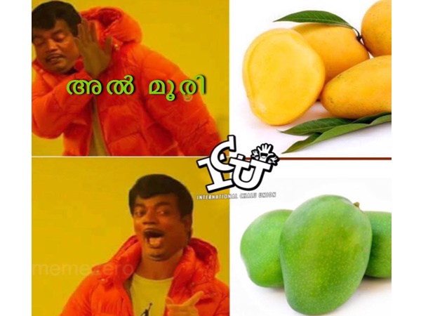 അല്‍ മൂരി