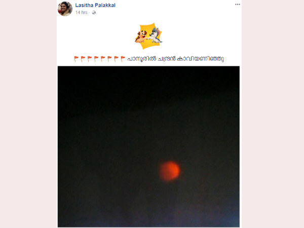 ട്രോളുകളുടെ ചാകര