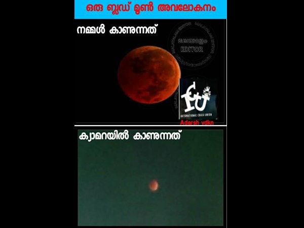 ക്യാമറയുടെ കാര്യം ക്യാമറയുടെ കാര്യം