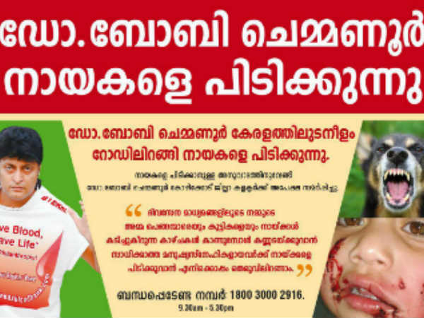 തെരുവ് നായ്ക്കളെ