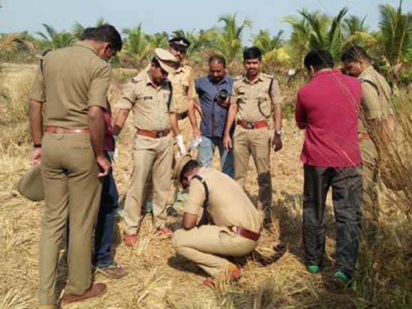 നായ്ക്കള്‍ കടിച്ചുവലിച്ചു