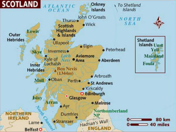 ഡിറ്റക്ടീവ്‌സിന്റെ കണ്ടെത്തല്‍