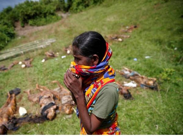 അഞ്ച് കൂട്ടക്കുഴിമാടങ്ങള്‍