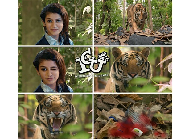 എല്ലായിടത്തും നടക്കില്ല!!!