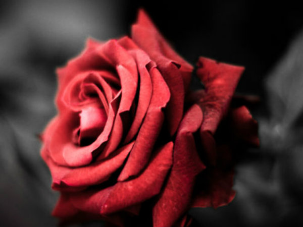 എഴുതാത്ത പ്രണയ ലേഖനം