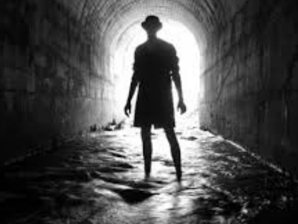 വൈറല് വൈറല്