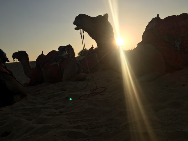 പ്രതീക്ഷകള്‍ തെറ്റിച്ച് രാജസ്ഥാൻ