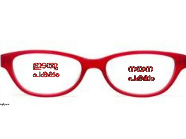 നയന പക്ഷം