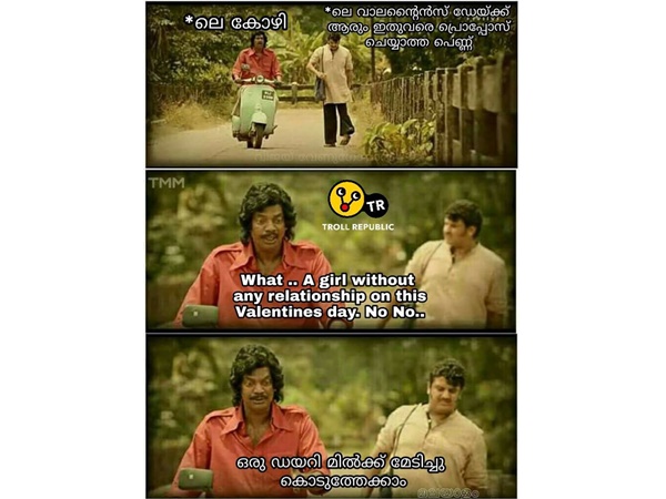 കോഴികളുടെ കാര്യം