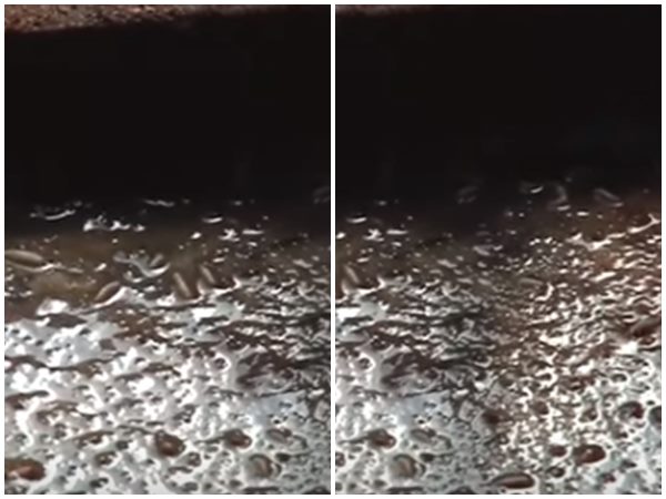 പുഴു പുളയ്ക്കുന്ന ഇടം