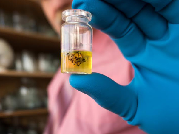 എന്തൊരു രോഗം? എങ്ങനെ?