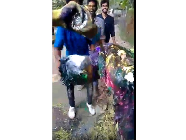 വായിൽ ചാണക വെള്ളം വായിൽ ചാണക വെള്ളം