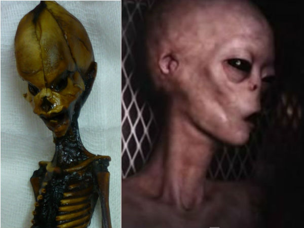 അറ്റ- ഒരു മനുഷ്യ സ്ത്രീ