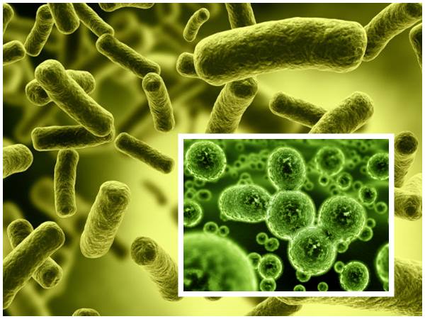 ഡിസീസ് എക്‌സ്