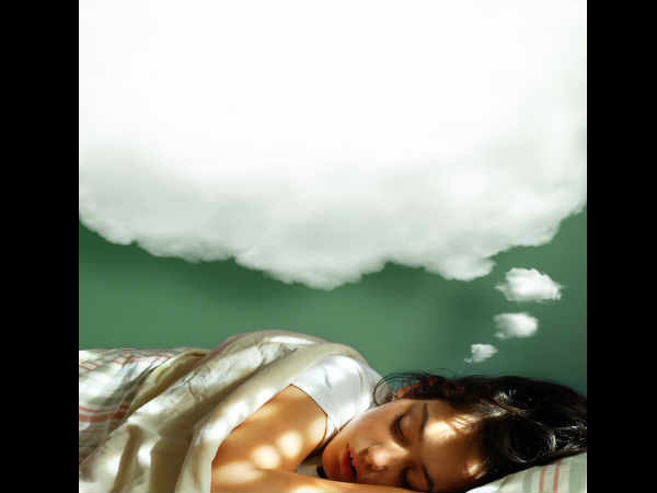 ആനയും സിംഹവും