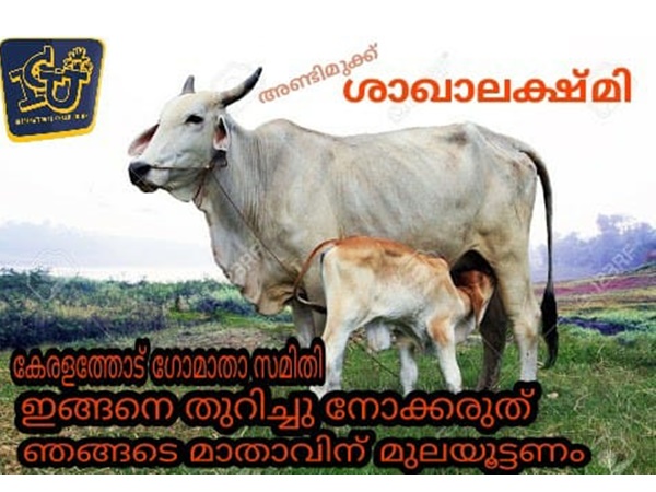 ശാഖാലക്ഷ്മി