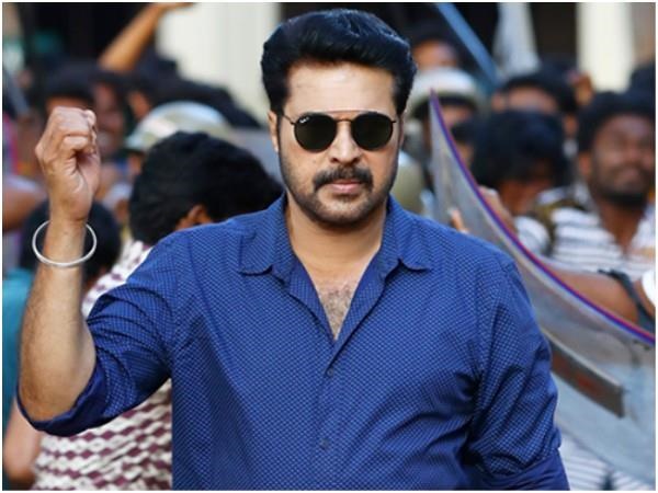 ബിസിനസും സിനിമാ നിര്‍മാണവും