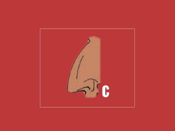 C ആകൃതിയിലുള്ള മൂക്ക്