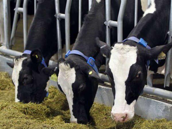  ജനങ്ങളുടെ പൂര്‍ണ പിന്തുണ