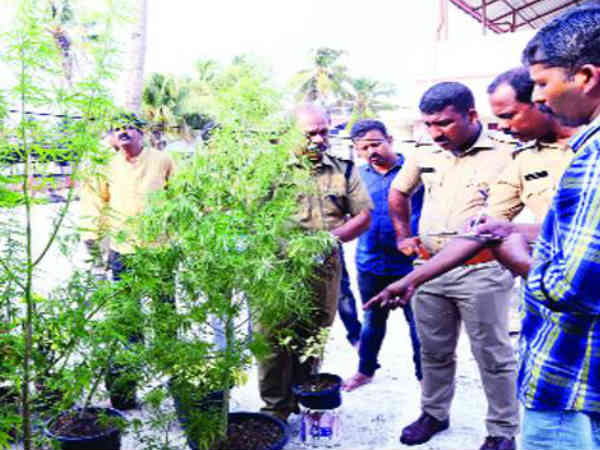 വിചിത്രമായ മൊഴി